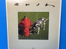 Orig 1982 Rush   Signals    Vintage LP    Mercury  SRM 1-4063   No Bar Code