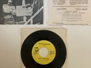 ROKY ERICKSON Bermuda / The Interpreter 45 Picture Sleeve 7 13th Floor Elevators