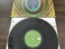 Chase This Light by Jimmy Eat World (Record, 2007)