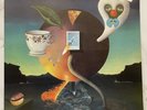 Nick Drake Pink Moon LP Record Album Vinyl