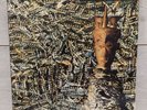 Siouxsie And The Banshees - Juju - 12