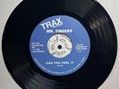 House 45 - Mr. Fingers  - Can You Feel It - Trax Records - Reissue