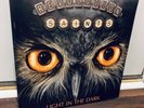 REVOLUTION SAINTS - Light In The Dark LP Vinyl - Limited Edition - EXCELLENT