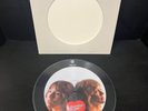 HEART DREAMBOAT ANNIE PICTURE DISC VINYL
