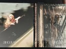 SABRINA CARPENTER Singular: Act I and Act II LP on VINYL