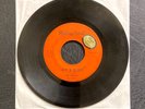THE FIDELICS Lovers In The Park / I Love You Baby 45 Philly Soul