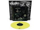 Integrity - HUMANITY IS THE DEVIL NEW & SEALED YELLOW LP (Record, 2023)