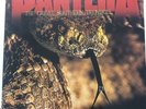 PANTERA -The Great Southern Trendkill  NEW WHITE & ORANGE MARBLE RECORD LP VINYL