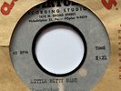 Northern Soul 45 The Opals Metal Acetate Just Like A Little Bitty Baby