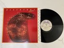 Near Mint - BLACKFOOT 