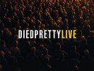 New Music Died Pretty 