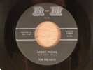 The Del-Rays Night Prowl/Windy And Warm Mod R&B, Popcorn, Instros  1963 R and H