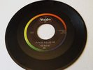 The Beatles Please Please Me From Me To You 45 RPM 7