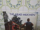 THE DEAD MILKMEN beelzebubba  1988 GREEK LP VINYL  ALTERNATIVE COUNTRY