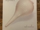 Deftones -Adrenaline LP PINK 2011 HOT TOPIC VERY RARE. COMES WITH HYPE STICKER