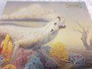 RARE Signed Insert By Rival Sons - Hollow Bones 2016 Sealed 180g Black Vinyl LP