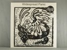 WIDESPREAD PANIC s/t LP sealed 2x REISSUE COLOR VINYL Record BLUES Rock NEW
