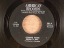 Delrays, Inc.  Coming Home/My Heart Is Not A Toy  CRAZY RARE   Northern Soul