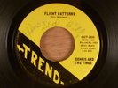 Dennis And The Times  Flight Patterns/Just If She's There RARE  Garage, Psych