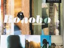 Bonobo - Animal Magic (UK Yellow Vinyl 2xLP) Tru Thoughts TRU LP 007