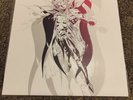 Final Fantasy II 2 Record Soundtrack Vinyl  LP Not Moonshake Nintendo NES VGM
