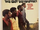 The Lost Generation Young, Tough And Terrible 1972 soul LP Brunswick Original