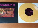 Dinosaur Jr - Little Fury Things 10