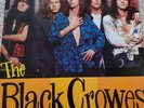 The Black Crowes Rare Promo Vinyl
