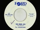 Surf Inst./Garage 45 - Phantoms - The Cruel Sea/I Want You - Ford - VG+ mp3