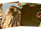 Blackfoot Vinyl Record Lot: Marauder Tomcattin Vertical Smiles