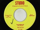 Rockabilly Inst. 45 - Savoys - Razorback - Studio - VG+ mp3