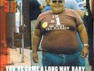 You've Come a Long Way, Baby - Fatboy Slim Vinyl Record