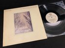 Bill Evans 