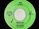 Surf Inst. 45 - Tempests - Tempests Beat - Aura - mp3