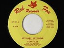 Garage 45 - Terry Lee - Hey Baby, Hey Sugar - Red Fox - mp3