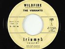 Surf Inst. 45 - Vibrants - Wildfire/Scorpion - Triumph - mp3