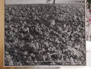Crass The Feeding Of The Five Thousand Vinyl Record NM or M-/NM or M-