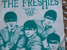 THE FRESHIES 'WE'RE LIKE YOU' 1979 PUNK KBD POWERPOP PRIVATE