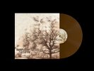 Trampled By Turtles - Duluth / Vinyl LP limited on COLORED
