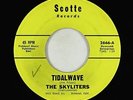 Surf Inst. 45 - Skyliters - Tidalwave - Scotte - VG+ mp3