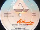 Breakwater - Say You Love Me Girl (12
