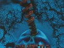 PANTERA - Far Beyond Driven (reissue) - Vinyl (marbled vinyl LP)