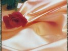 The Isley Brothers - Between the Sheets - 1983 Tneck FZ-38674 LP Vinyl Record EX