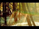CHILDISH GAMBINO - Camp
