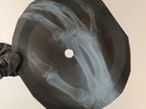 BOB DYLAN PEGGY DAY  X-Ray USSR Record Roentgen Bones Ribs Music Vinyl
