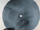 STOOGES I WANNA BE YOUR DOG X-Ray USSR Record Roentgen Bones Ribs Music Vinyl