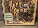 Born and Raised by Mayer, John (Record, 2012)