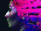 Steven Wilson : Hand. Cannot. Erase VINYL 12
