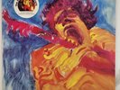The Jimi Hendrix Concerts Double Live Vinyl LP - 1982 -EX Cond- Reprise 1-22306