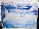 Rush – Grace Under Pressure Mercury – 818 4 GUATEMALA DIDECA PRESS VERY RARE